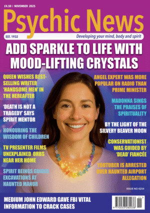 November 2025 Single Print Issue